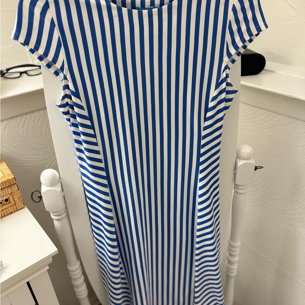 J. McLaughlin Blue and White Striped Dress - Picture 4 of 9
